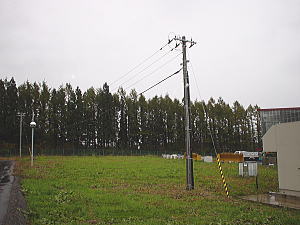 32